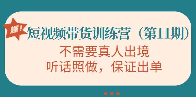 视频带货训练营，不需要真人出境，听话照做，保证出单（第11期）-网创资源大全