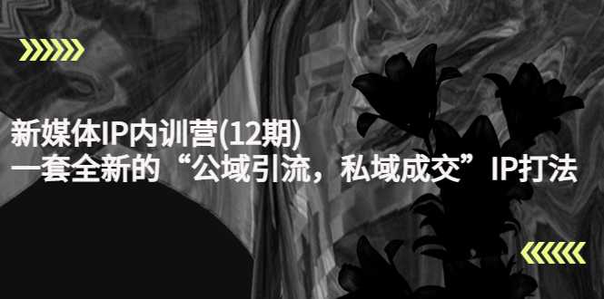 新媒体IP内训营(12期)，一套全新的“公域引流，私域成交”IP打法，直接带走-网创资源大全