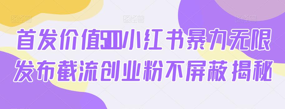 首发价值5100小红书暴力无限发布截流创业粉不屏蔽揭秘-网创资源大全