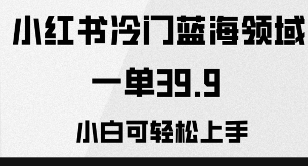 小红书的小众蓝海领域，一单39.9，小白可快速上手-暖阳网-优质付费教程和创业项目大全-网创资源大全