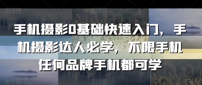 手机摄影0基础快速入门，手机摄影达人必学，不限手机任何品牌手机都可学-网创资源大全