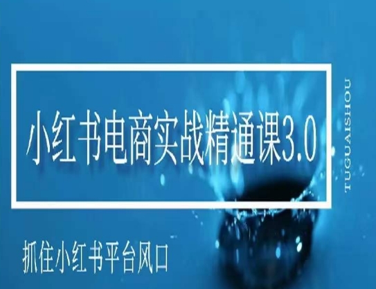 小红书电商实战精通课3.0，抓住小红书平台的风口，不错过有一个赚钱的机会-网创资源大全