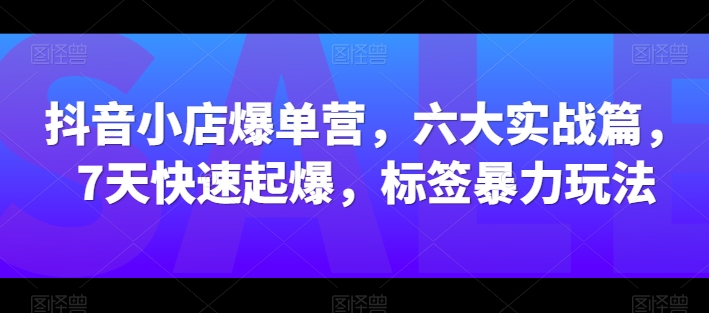 抖店打造爆款营，六大实战篇，7天迅速爆款，标识暴力行为游戏玩法-网创资源大全