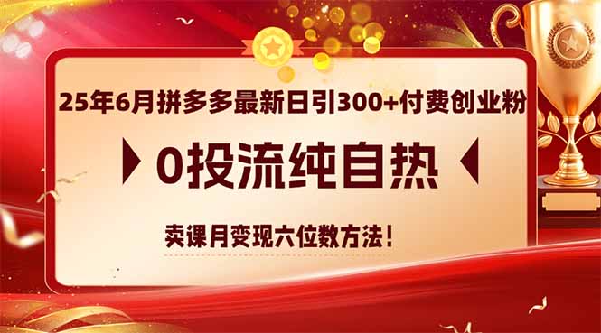 25年6月拼多多最新日引300 付钱自主创业粉，0投流纯自然 购买课程月转现六位数方式-网创资源大全