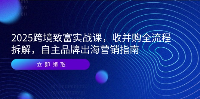 2025跨境电商发家致富实战演练课，收并购全过程拆卸，自有品牌出海营销手册-网创资源大全