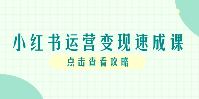 小红书运营转现速成课，账户构建到暴力行为养号，本人IP全过程手册-网创资源大全