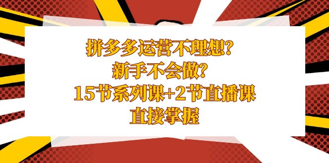 拼多多运营不太理想？初学者做不来？15节系列产品课 2节视频课堂，立即把握-网创资源大全