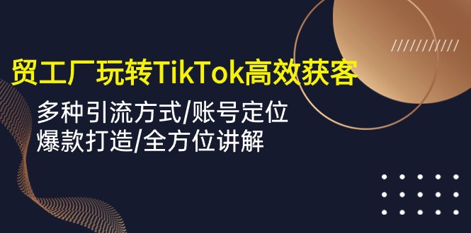 外贸工厂玩转TikTok高效获客，多种引流方式/账号定位/爆款打造/全方位讲解-网创资源大全