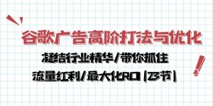 谷歌广告高阶打法与优化，凝结行业精华/带你抓住流量红利/最大化ROI(23节)-网创资源大全